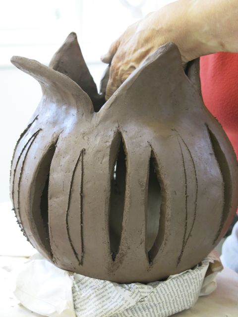 mohnkapsel3
